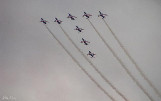 paf.jpg