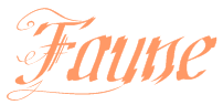 Faune