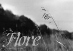 Flore